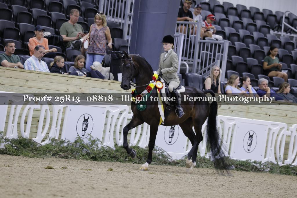 Proof Number 25R13_08818