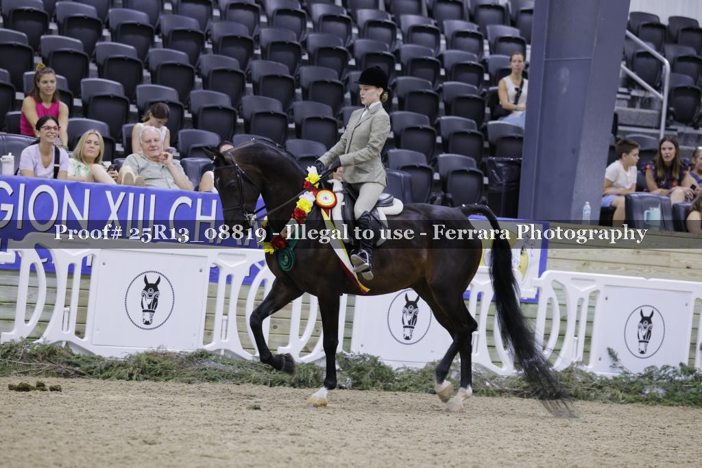 Proof Number 25R13_08819