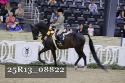 25R13_08822 thumbnail
