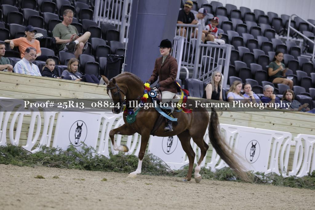 Proof Number 25R13_08824