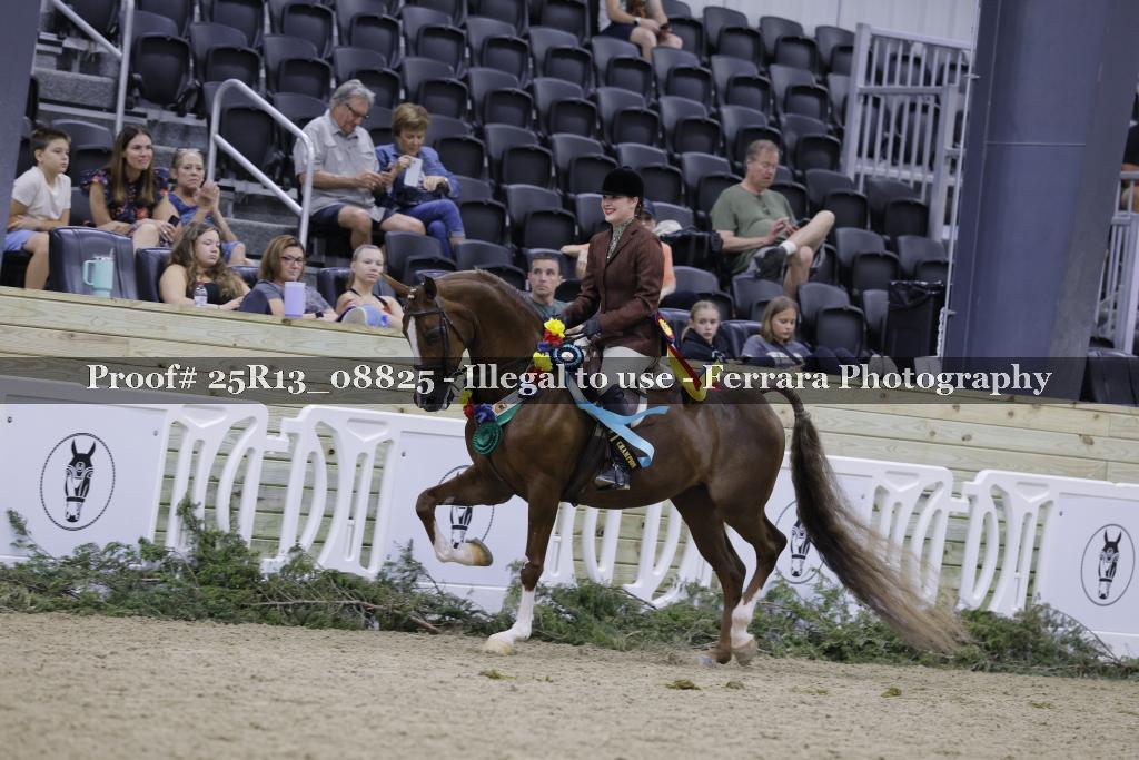 Proof Number 25R13_08825