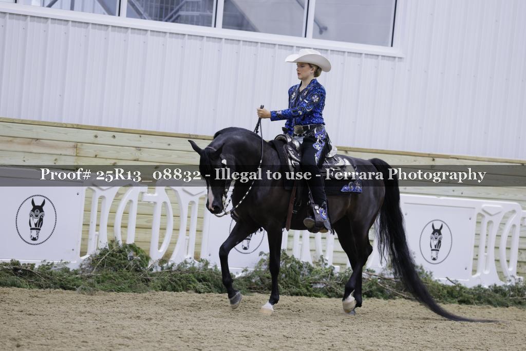 Proof Number 25R13_08832