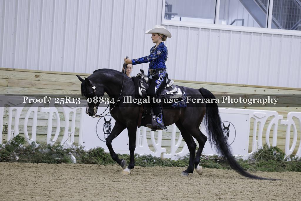 Proof Number 25R13_08834