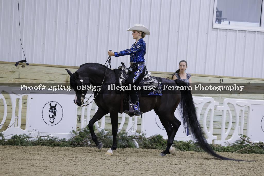 Proof Number 25R13_08835
