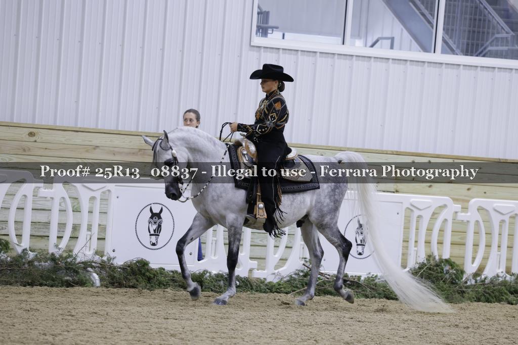 Proof Number 25R13_08837