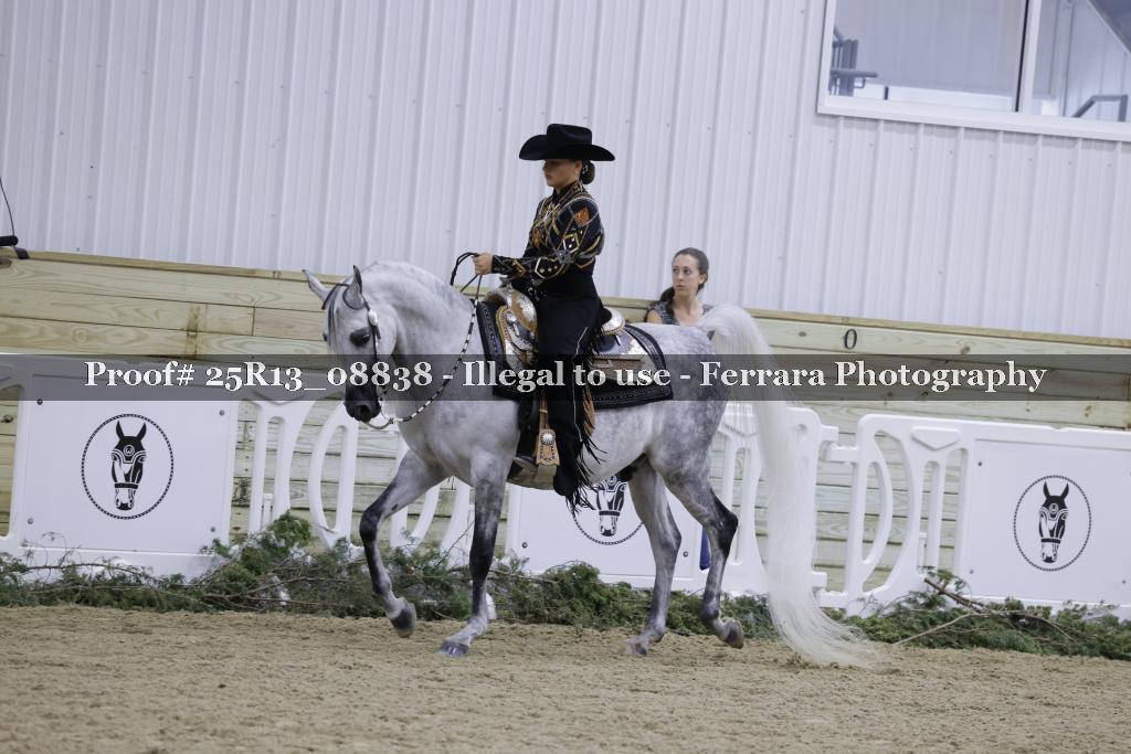 Proof Number 25R13_08838