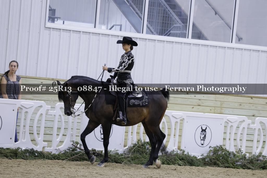 Proof Number 25R13_08847