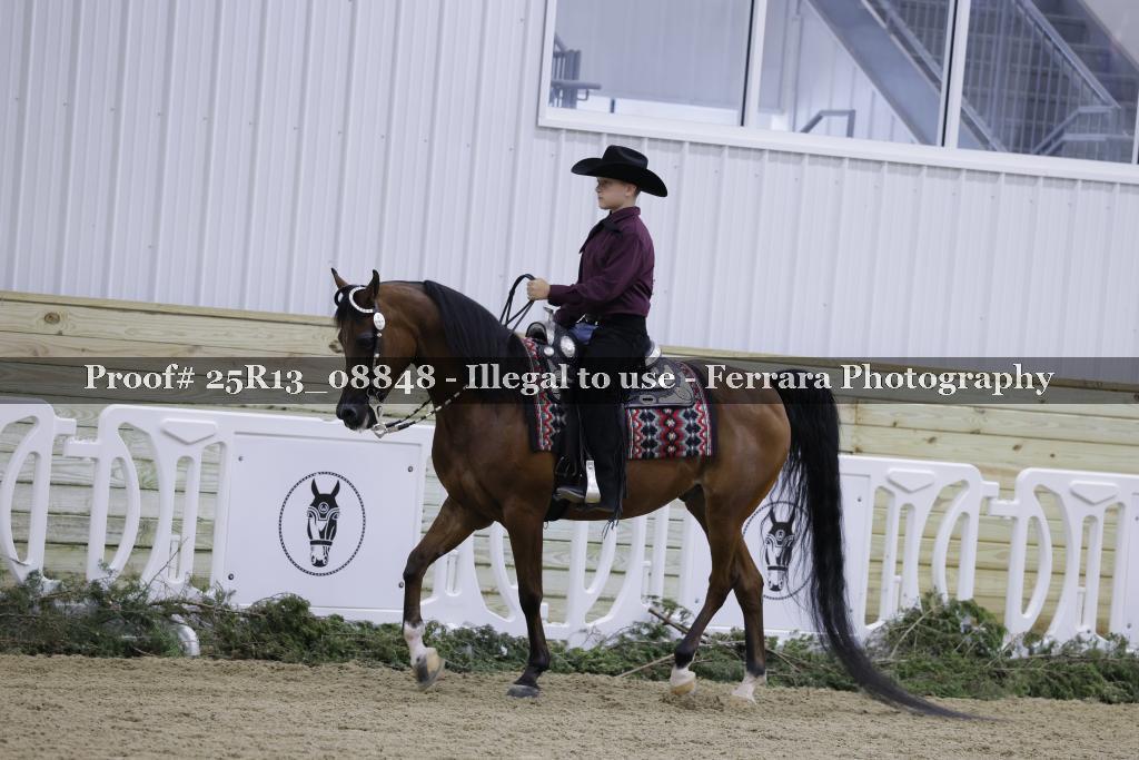 Proof Number 25R13_08848