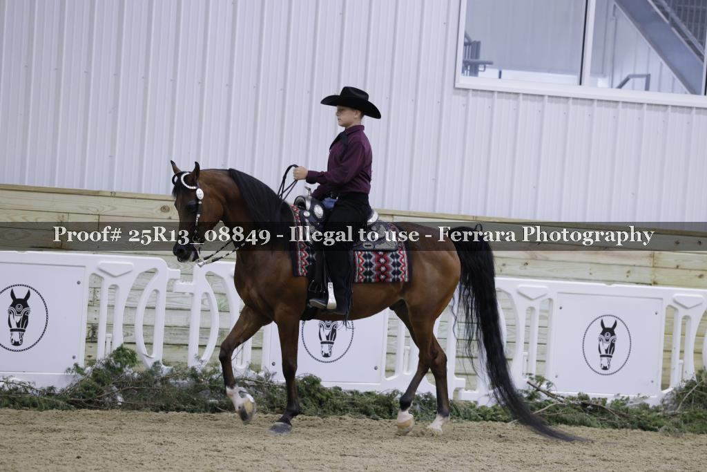 Proof Number 25R13_08849