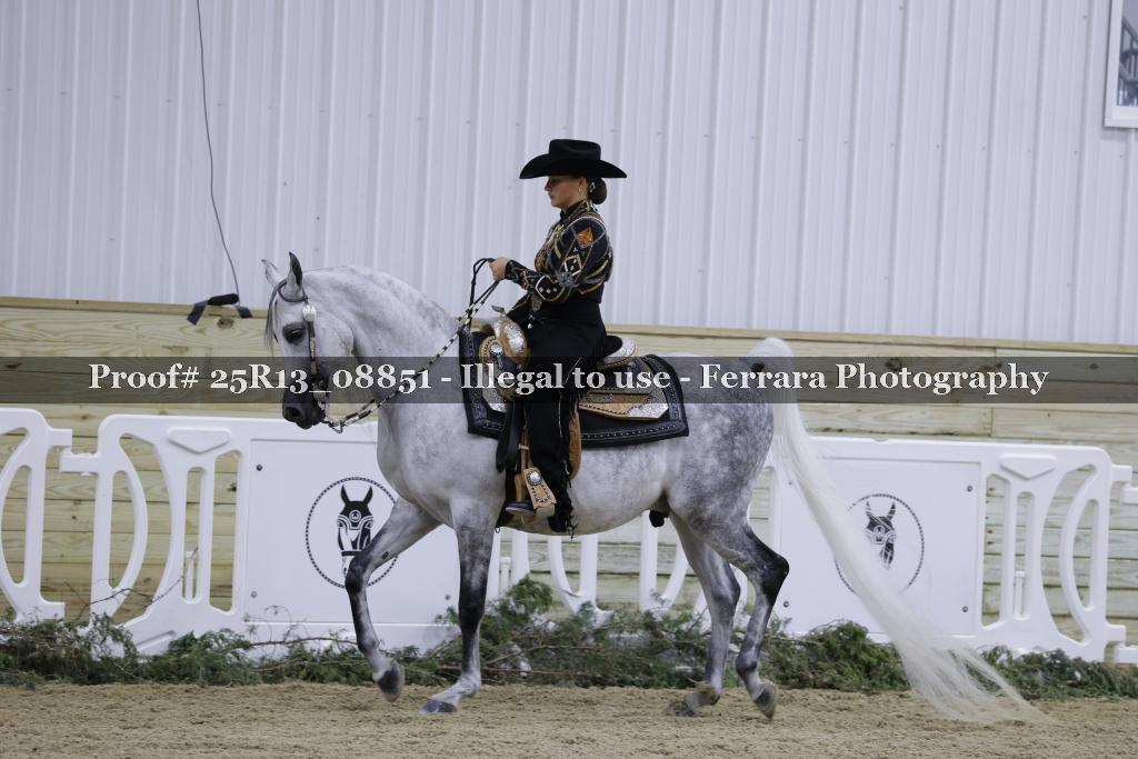 Proof Number 25R13_08851