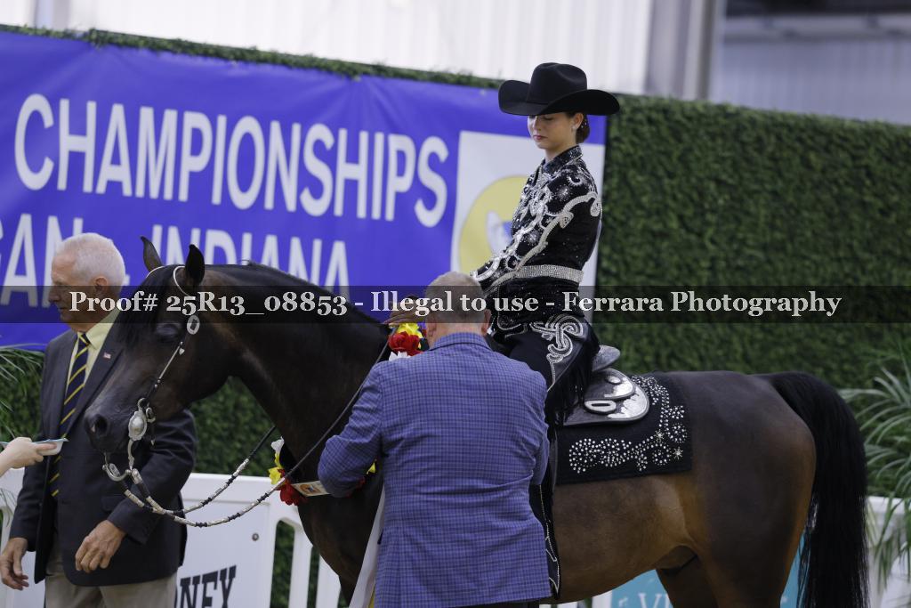 Proof Number 25R13_08853