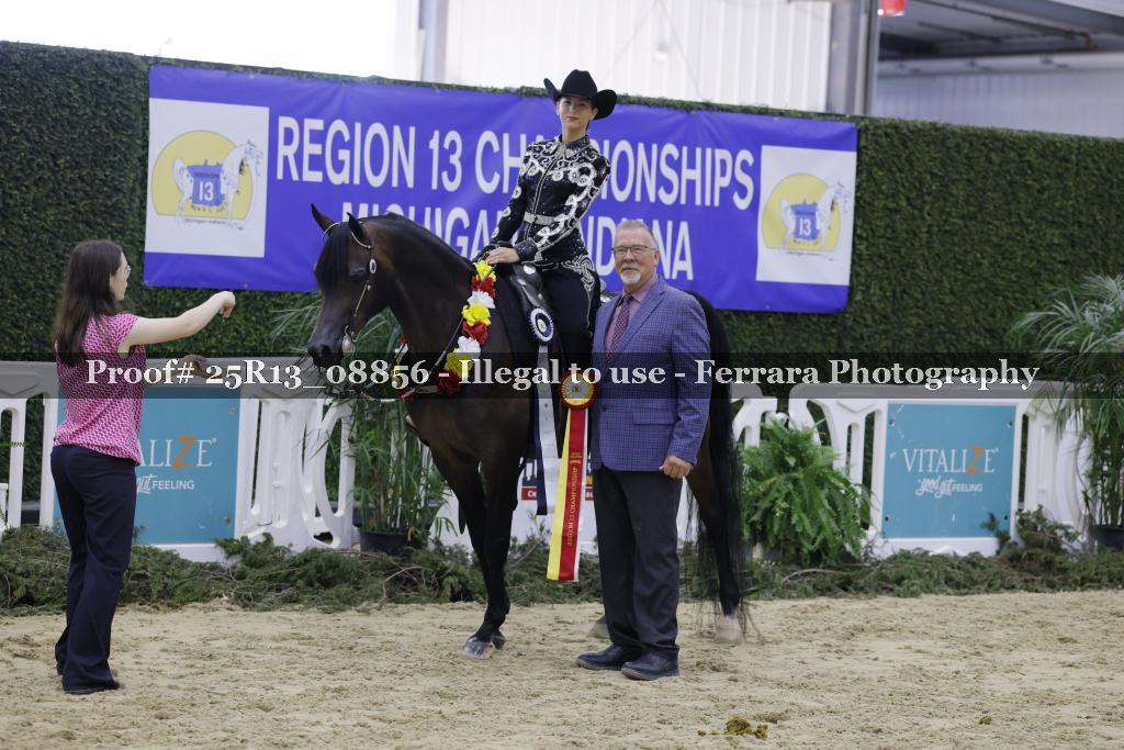 Proof Number 25R13_08856