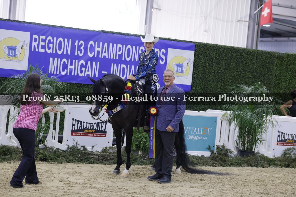 Proof Number 25R13_08859