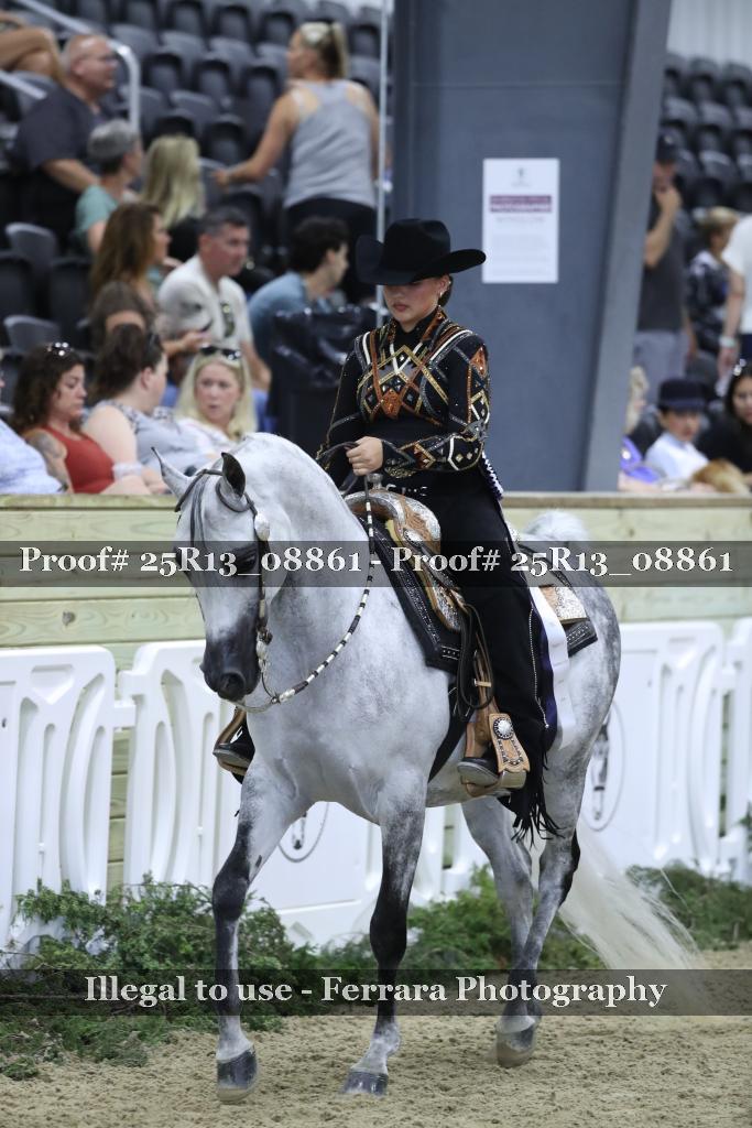 Proof Number 25R13_08861