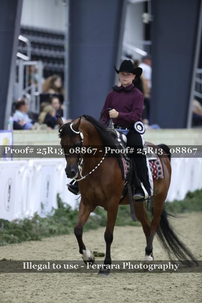 Proof Number 25R13_08867