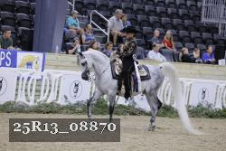 25R13_08870 thumbnail