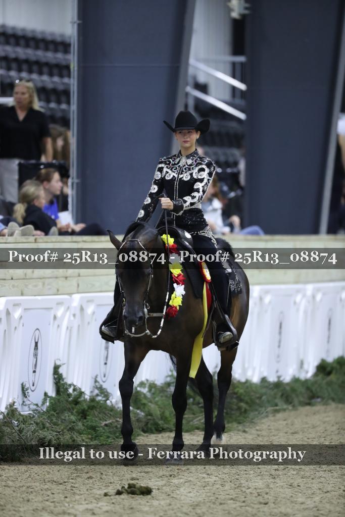 Proof Number 25R13_08874