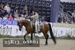 25R13_08881 thumbnail
