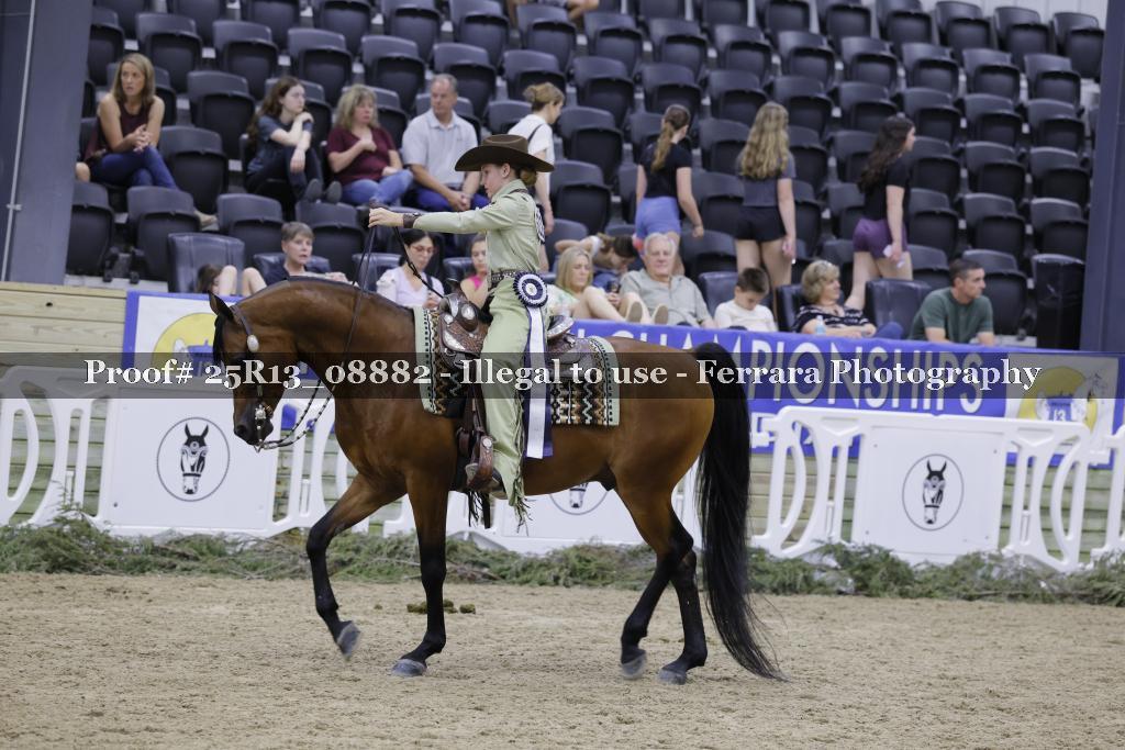 Proof Number 25R13_08882
