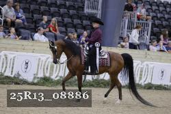 25R13_08886 thumbnail