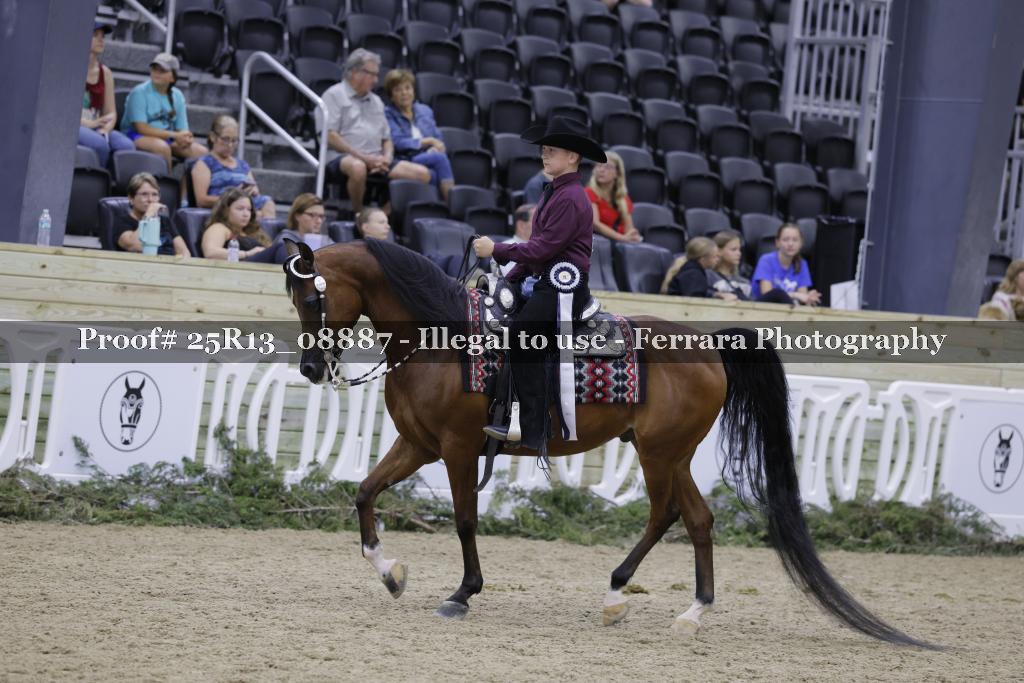 Proof Number 25R13_08887