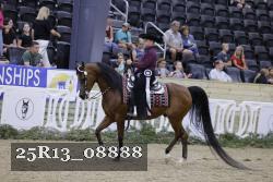 25R13_08888 thumbnail