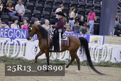 25R13_08890 thumbnail