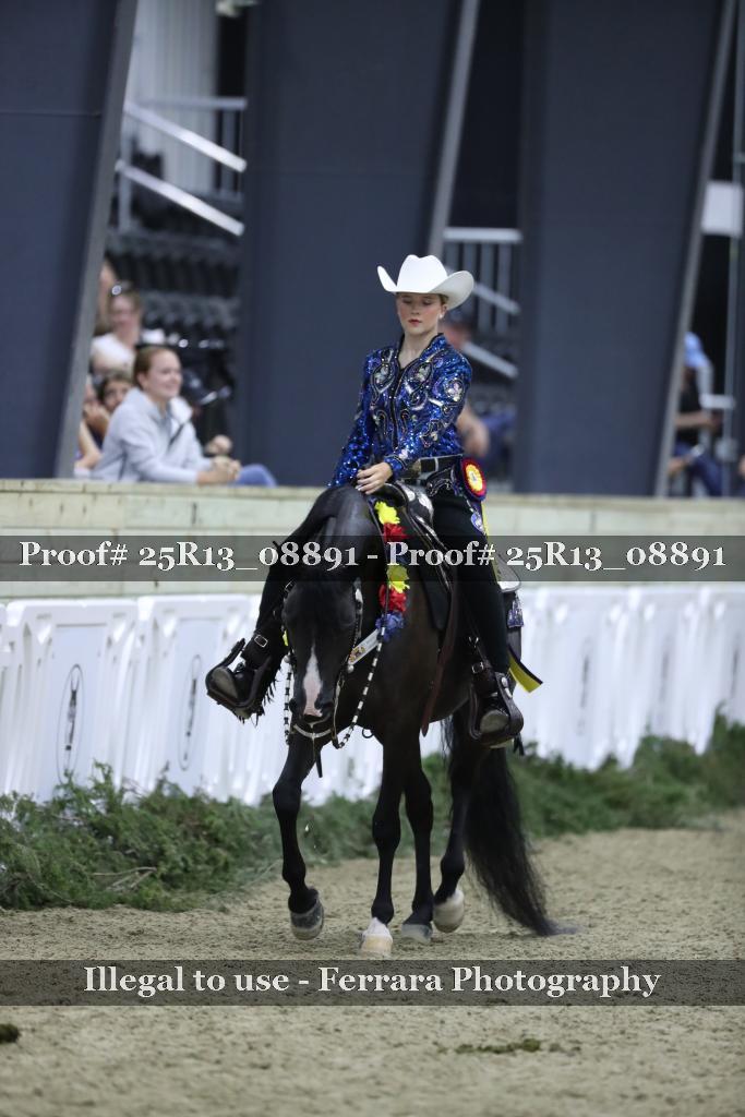 Proof Number 25R13_08891