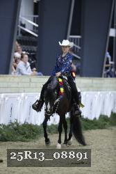 25R13_08891 thumbnail