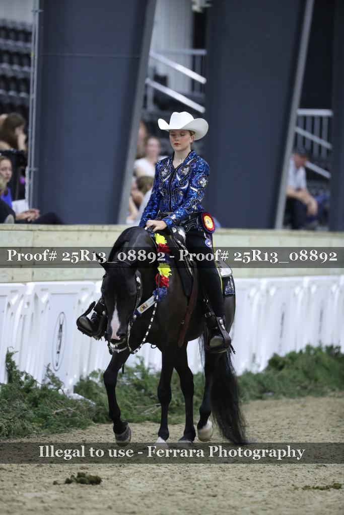 Proof Number 25R13_08892