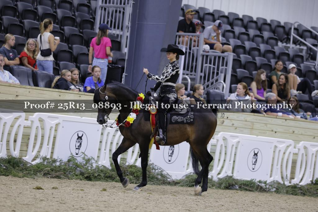 Proof Number 25R13_08893
