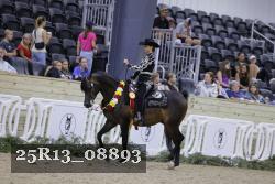 25R13_08893 thumbnail