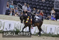 25R13_08895 thumbnail