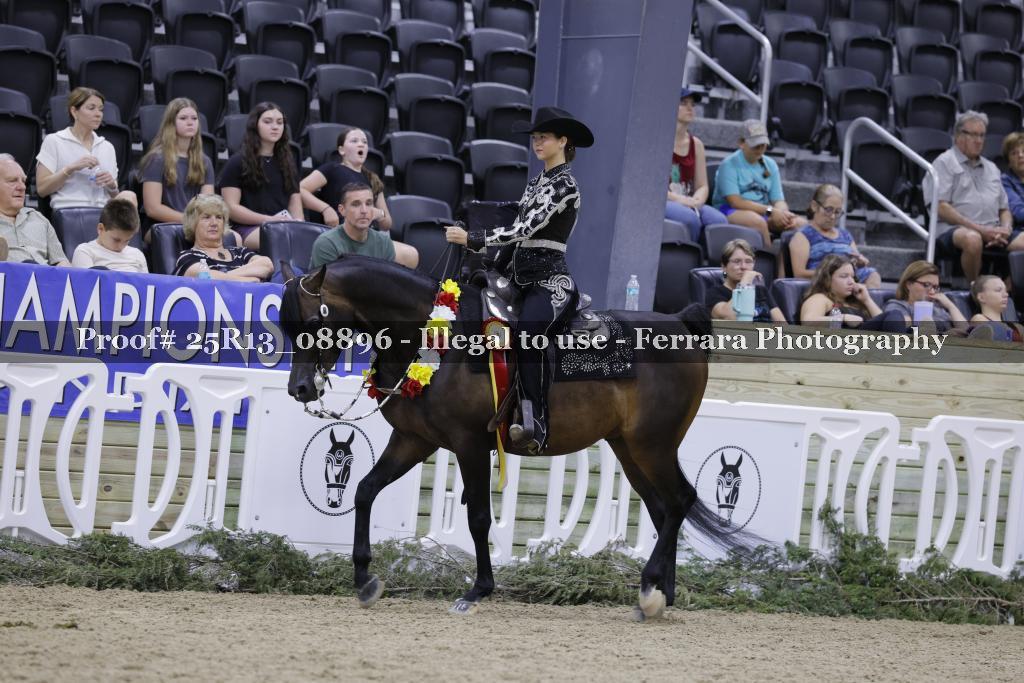 Proof Number 25R13_08896