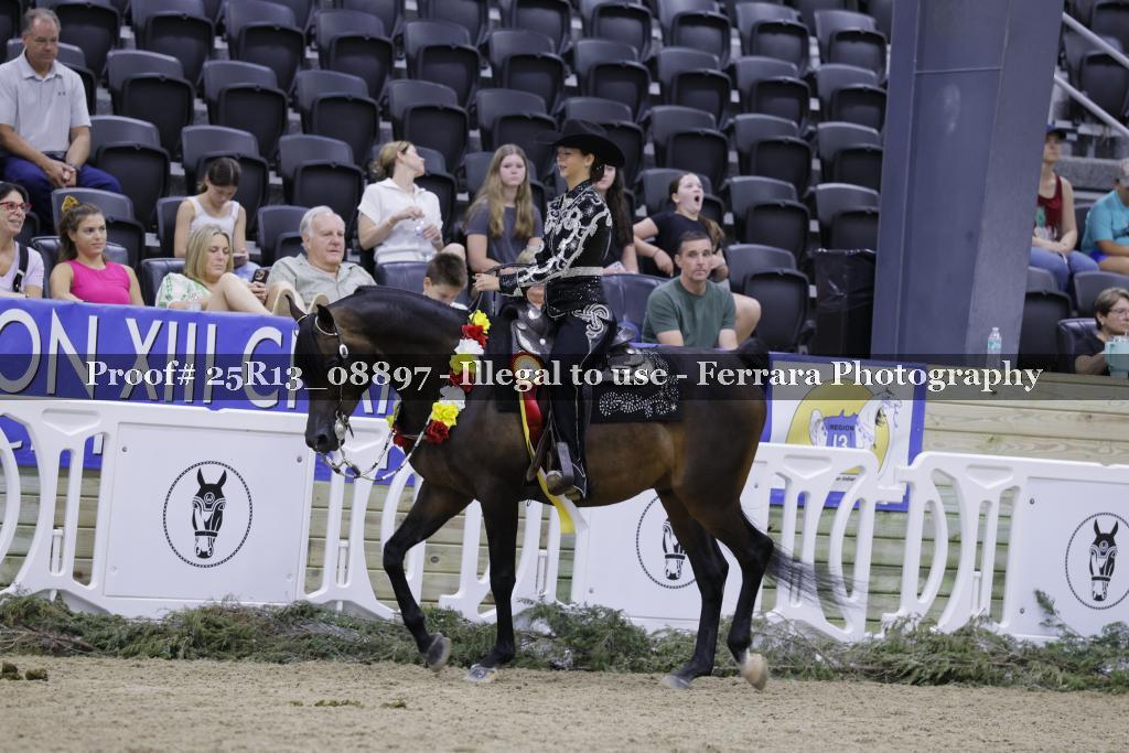 Proof Number 25R13_08897