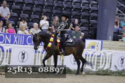 25R13_08897 thumbnail