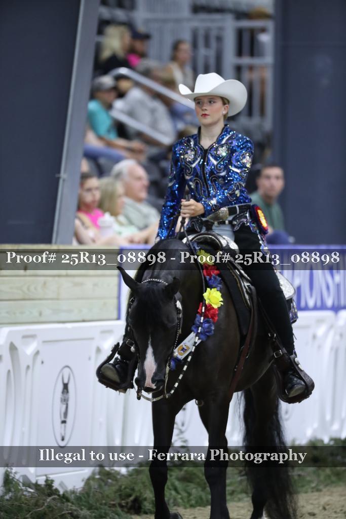 Proof Number 25R13_08898