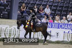 25R13_08900 thumbnail