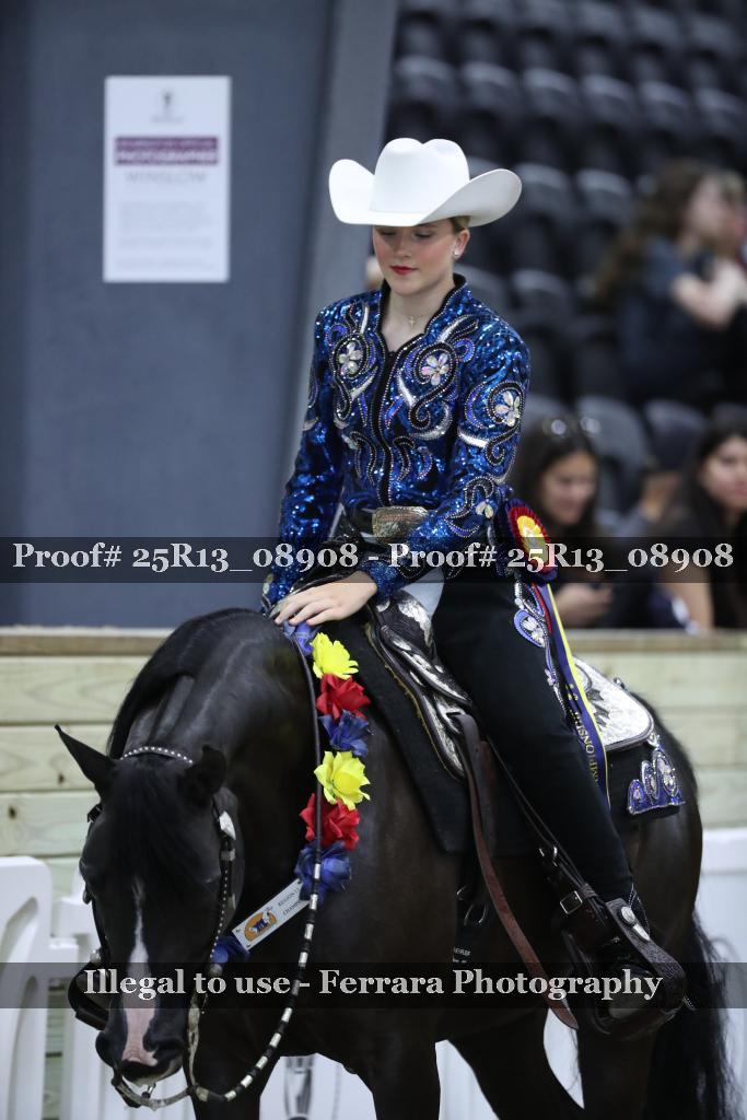 Proof Number 25R13_08908