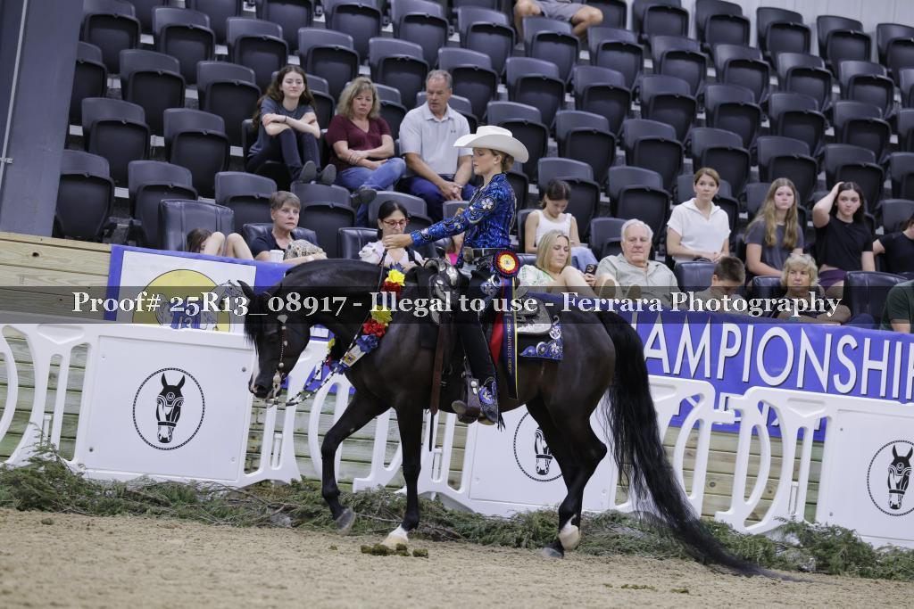Proof Number 25R13_08917