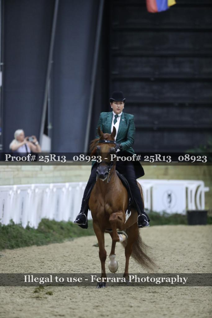 Proof Number 25R13_08923