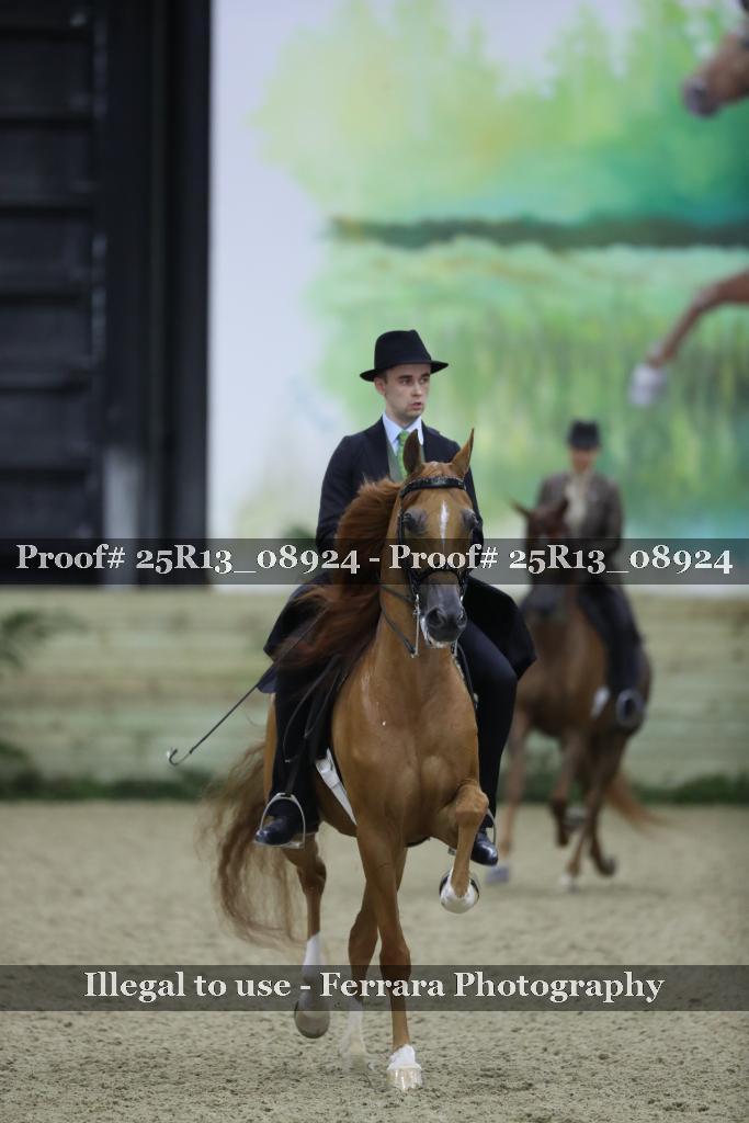 Proof Number 25R13_08924
