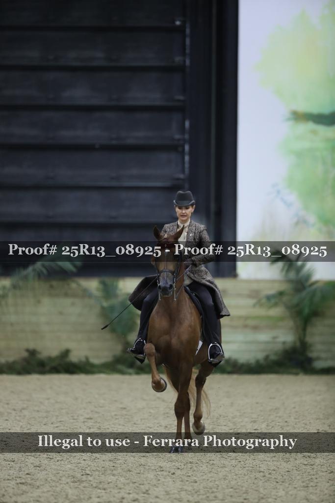 Proof Number 25R13_08925