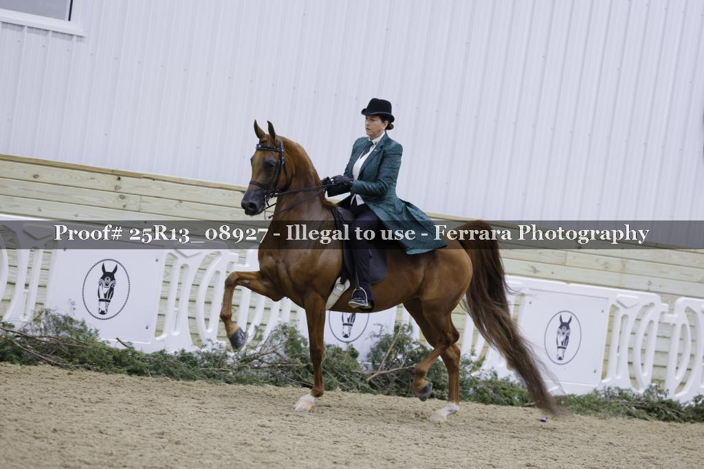 Proof Number 25R13_08927