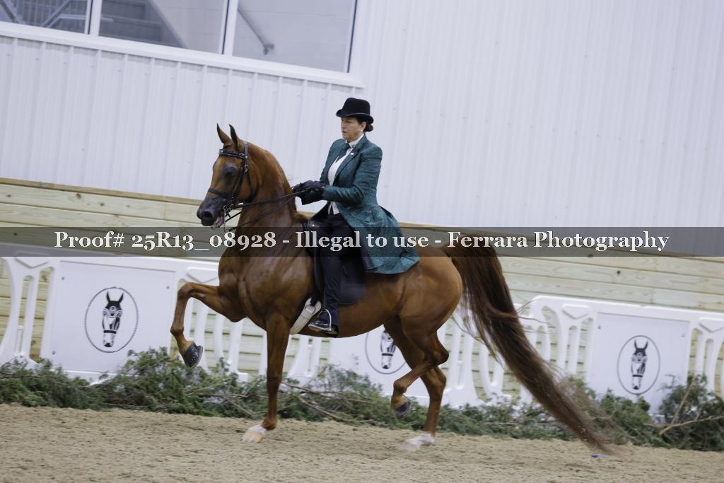 Proof Number 25R13_08928