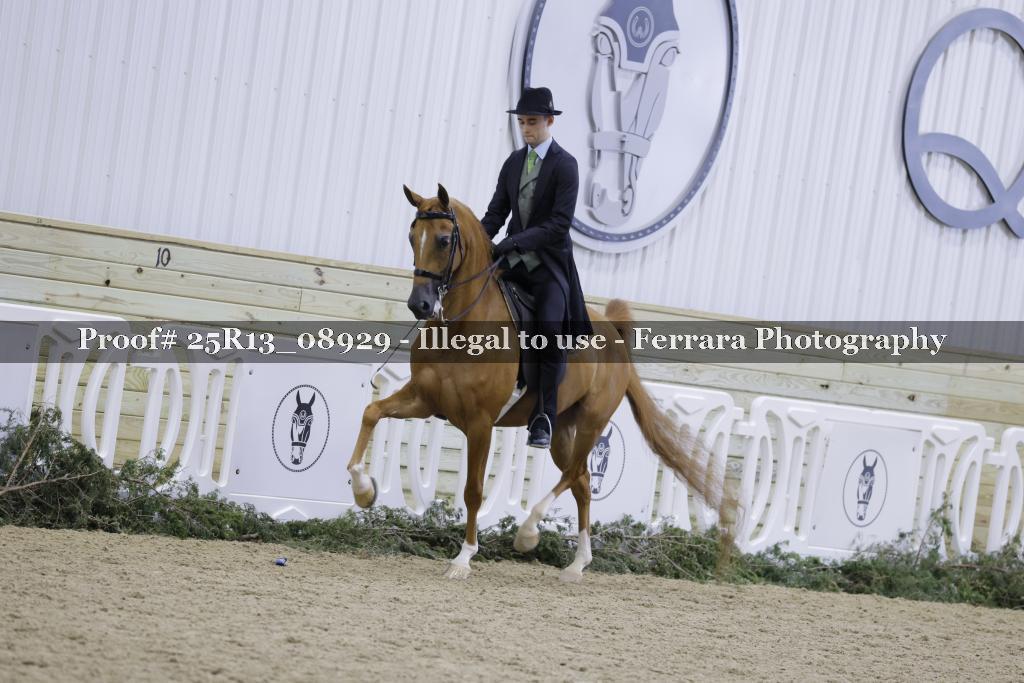 Proof Number 25R13_08929