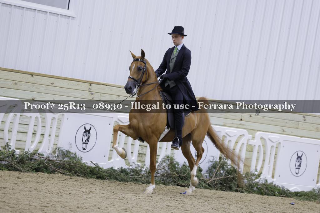 Proof Number 25R13_08930