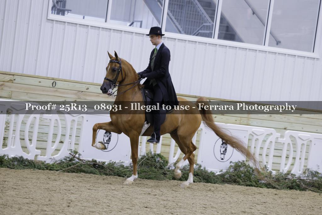 Proof Number 25R13_08931