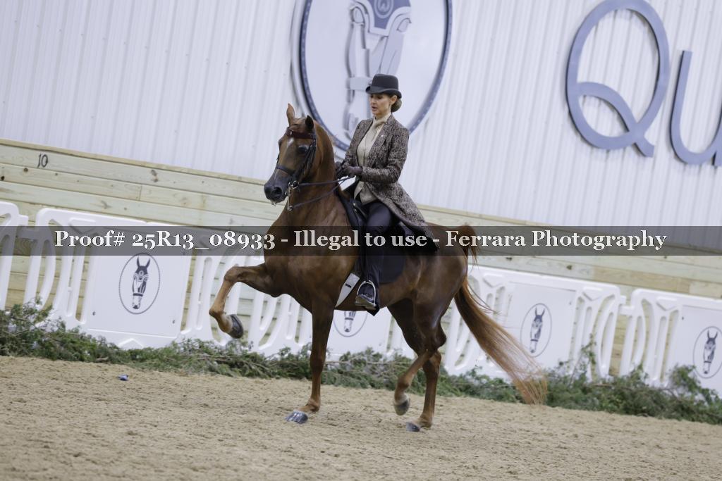 Proof Number 25R13_08933