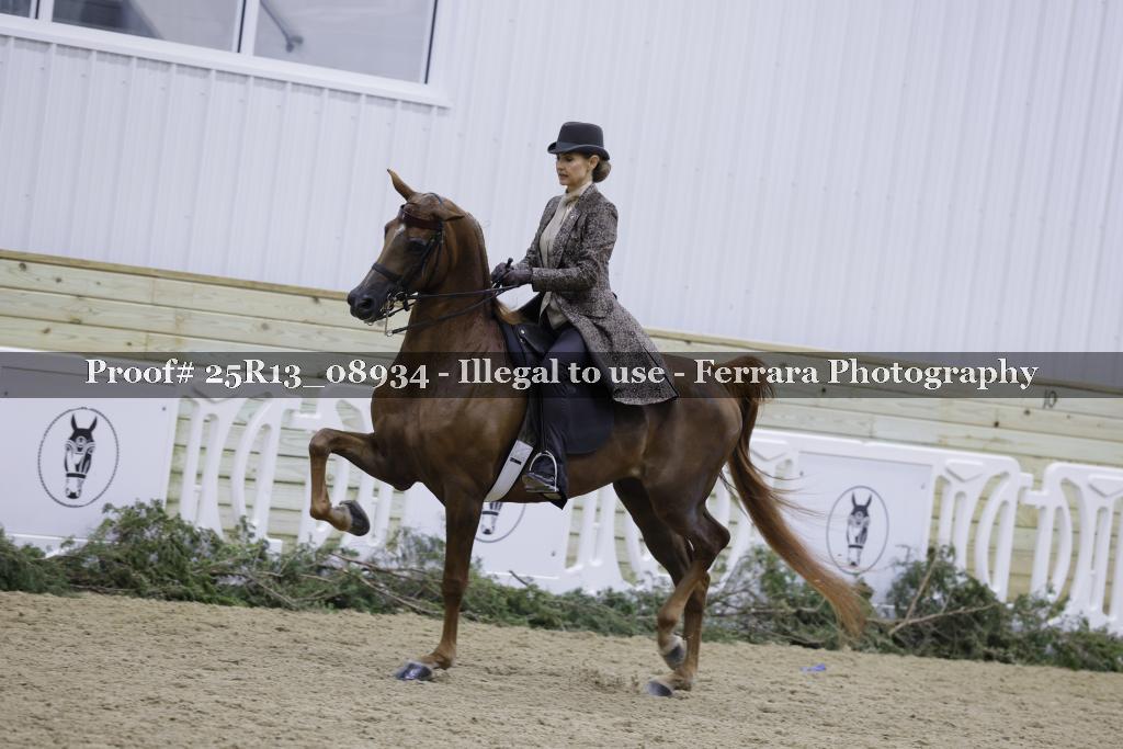Proof Number 25R13_08934